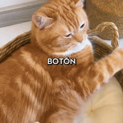 CEPILLO PARA MASCOTAS