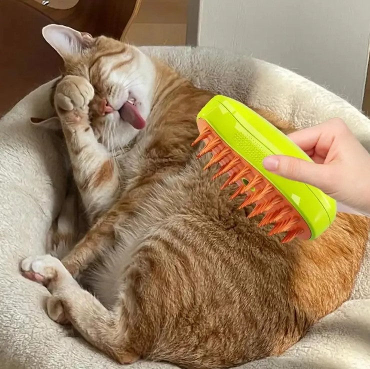 Transforma el cepillado en un momento de cuidado real 🐶😸